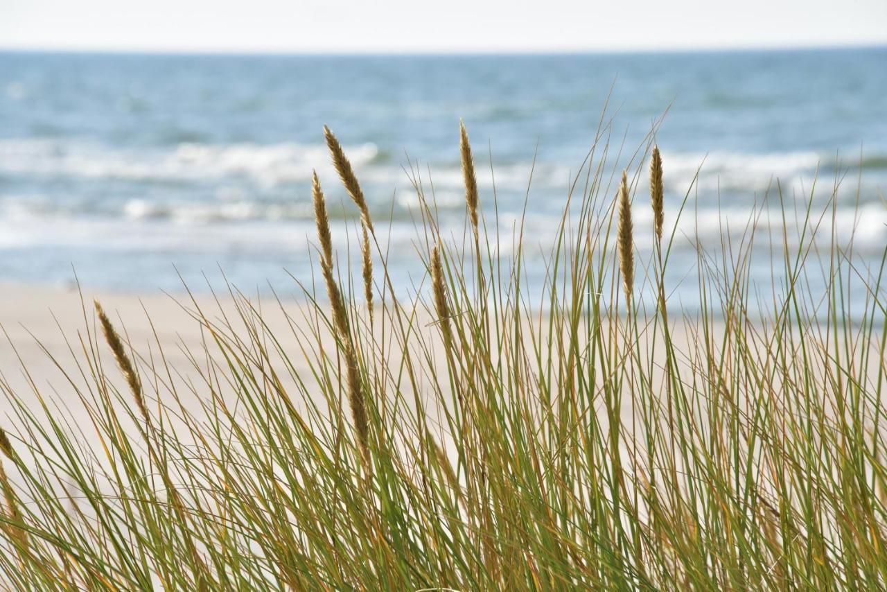 D&A Baltic Beach Villa Jurmalciems Eksteriør bilde
